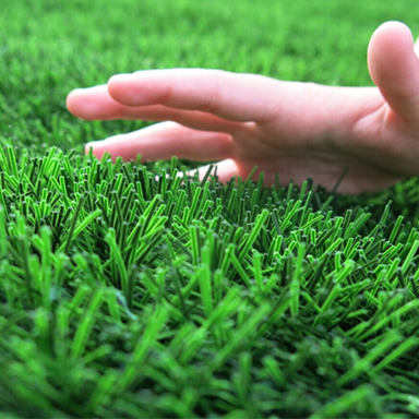 常州市佳绿人造草坪地毯有限公司